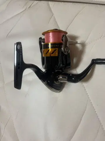 DAIWA WORLDSPIN 2500