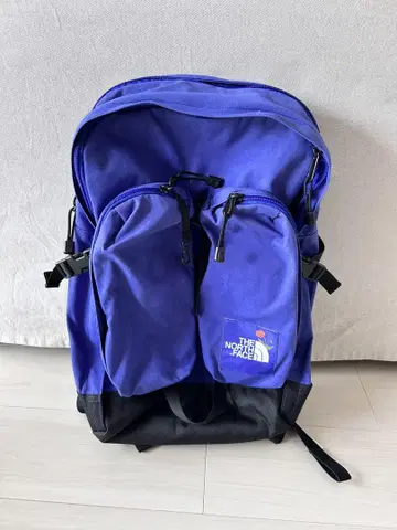 THE NORTH FACE 노드스트롬 파랑 백팩