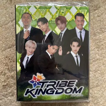 TRIBE KINGDOM 오리지널 카드 앨범 PSYCHIC FEVER