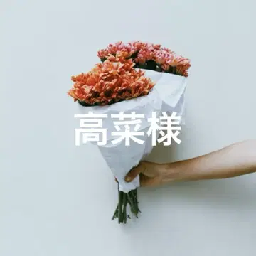 타카나 님