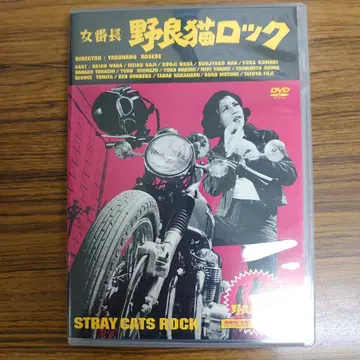 들고양이 락 DVD