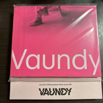 VAUNDY VAWS premium photo book #01