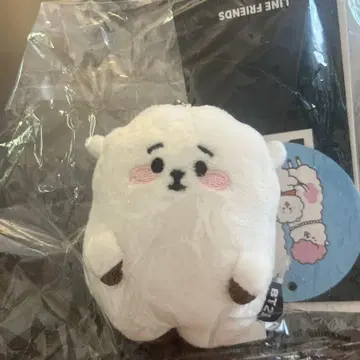 BT21 RK 마스코트 키링