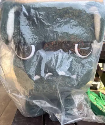미사용 새상품 데리마루 봉제 인형 데리카미니