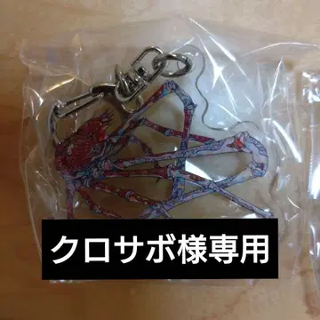누마즈항 심해 수족관 한정 평면 수족관 NIBOSHI & 콜라보 5종류