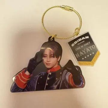 HAYATO 아크 키링