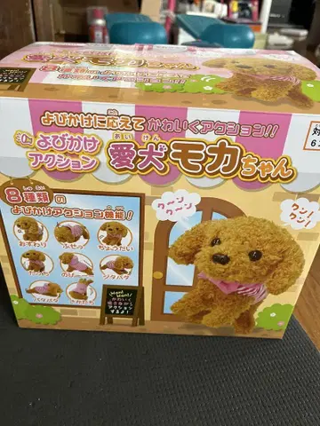 애견 모카