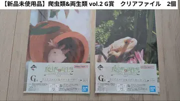 [미사용 새상품] 파충류&양서류 vol.2 G상 클리어 파일 2개