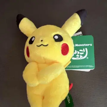 포켓몬스터 피카츄 봉제 인형
