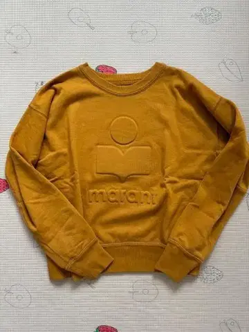 ISABEL MARANT ETOILE 속기모 맨투맨 38