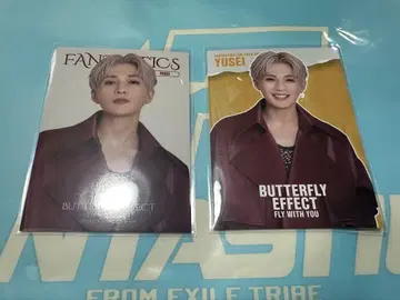 야기 유세이 포토 카드 세트