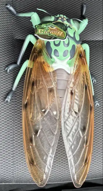 세미 피규어 녹색 30cm