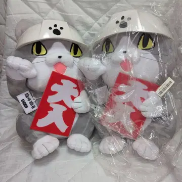 현장 고양이 봉제 인형 2개 세트