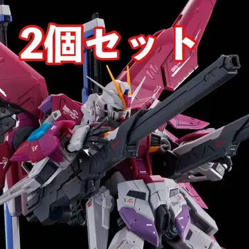 새상품 RG 1/144 데스티니 임펄스 2개 세트