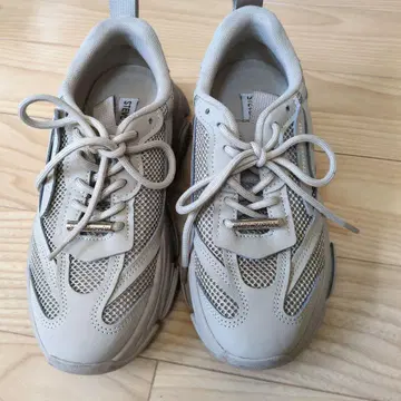 STEVE MADDEN 베이지 스니커즈