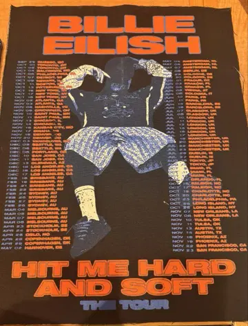 Billie Eilish 내한공연 굿즈 천 포스터