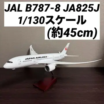 JAL B787-8 DREAM LINER JA825J 1/130 새상품
