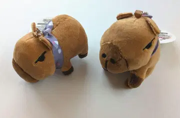 고라카피 미니 봉제 인형 고게차 세트 100엔 오락 가챠가챠