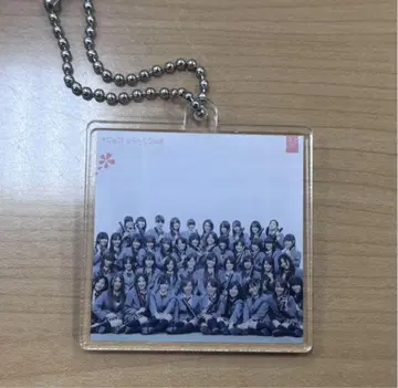 벚꽃잎들 2008 아크릴 키홀더