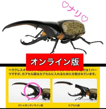 온라인판 헤라클레스 헤라클레스 (황갈색) 생물대도감 갑충 07