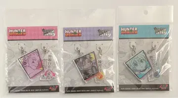 HUNTER x HUNTER 아크릴메트리 키루아 페이탄 히소카