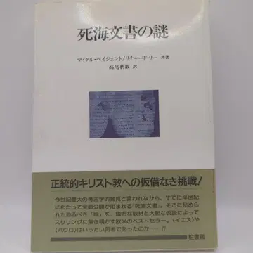 사해 문서의 수수께끼 마이클 베이전트/리처드 Lee 저