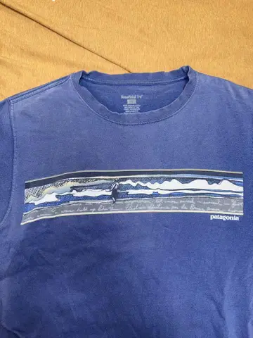 Patagonia 티셔츠