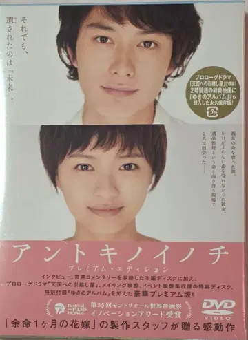 DVD