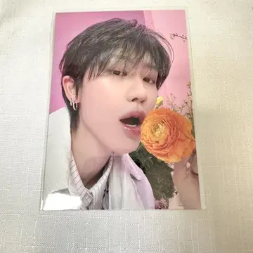 SEVENTEEN ALWAYS YOURS 셀피 사진 THE8