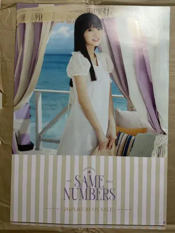 SAME NUMBERS 포스터