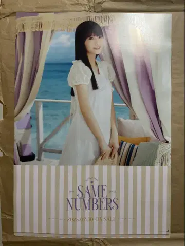 SAME NUMBERS 포스터