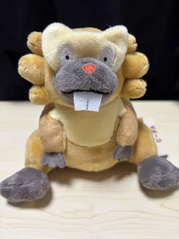 포켓몬 fit 비버니 봉제인형