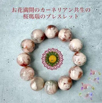 꽃 만개 카넬리안 공생 벚꽃 마노 팔찌