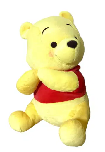 곰돌이 푸 빨간 볼 봉제 인형