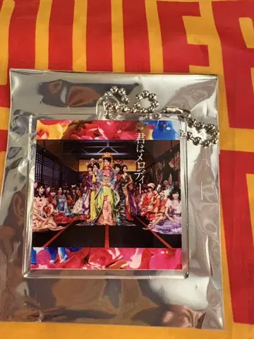 너는 멜로디 AKB48 자켓 사진 아크릴 키링