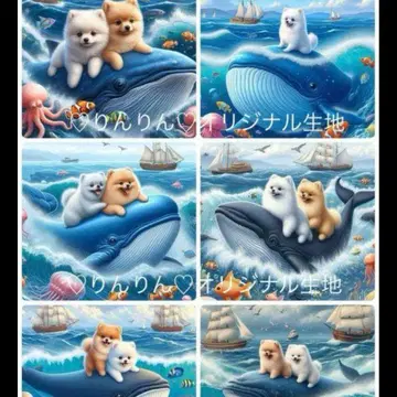 포메라니안 패널 원단 (오더 접수)
