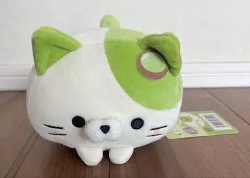 맛차냥 지역 한정 봉제 인형 교토 고양이 모찌후와 데굴데굴 냥코