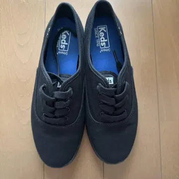 Keds 스니커즈 24.0cm