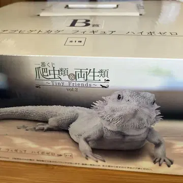 제일복권 파충류&양서류 B상 하이포 제로