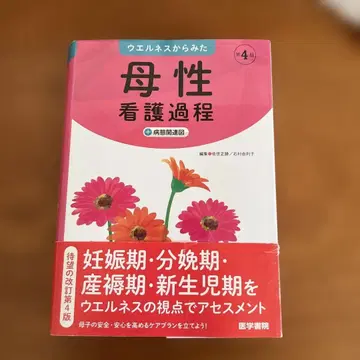 웰니스에서 본 모성 간호 과정 + 병태 관련도