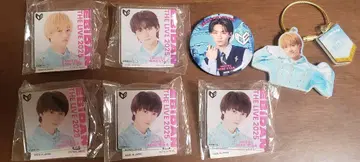 에비라이 ICEx