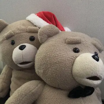 ted 봉제 인형 2개 세트 택 포함 곰