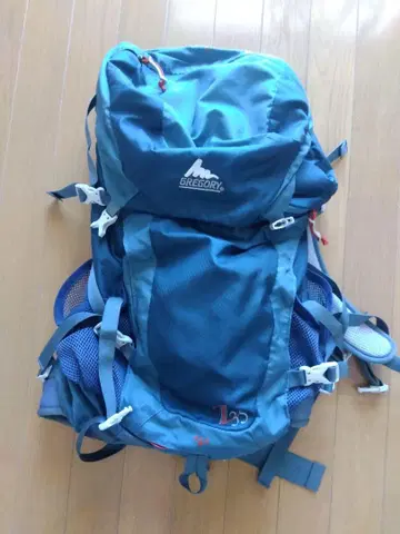 GREGORY Z 35 백팩 파랑