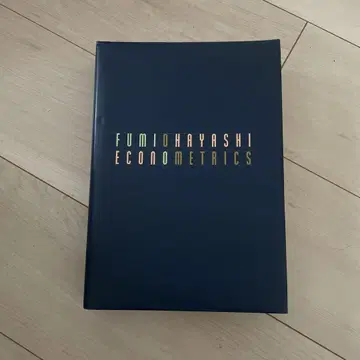 FUMIOHAYASHI ECONOMETRICS