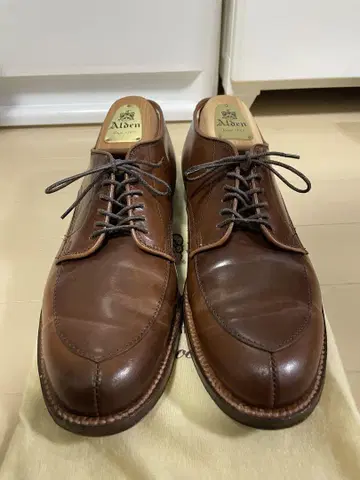 Alden 레어 컬러 Ravello V팁