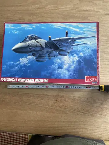 F-14A TOMCAT Atlantic Fleet 1/48 [정크 제품]