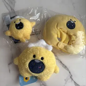 treasure 정환 포동 묶음 판매