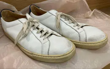 커먼프로젝트 화이트 레이스업 스니커즈 1785 41 0528