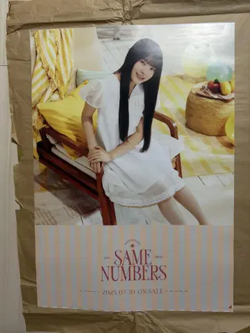 모리히라 레이신 Same Numbers 포스터