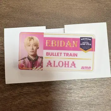 초특급 알로하 네임 배지